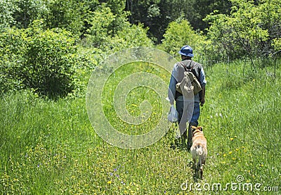 Hiker walking with dogs in mountain forest Editorial Stock Photo