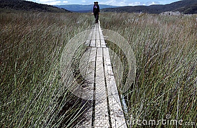 Hiker on Wooden Walkway Stock Photo