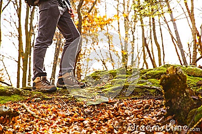 Hikers boots on forest trail. Autumn hiking. Stock Photo