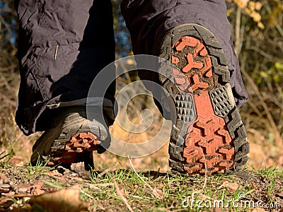 Hikers boots on forest trail. nature park among the leaves Stock Photo