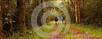 Hikers in a forest Stock Photo