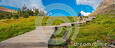 Hikers on the Plank Trail Glacier National Park Editorial Stock Photo