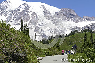 Hikers on trail above Paradise with Mount Rainier Editorial Stock Photo