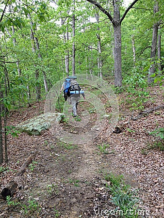 Hikers on the trail in nature hiking backpacking Stock Photo