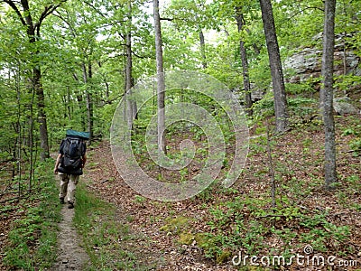 Hikers on the trail in nature hiking backpacking Stock Photo