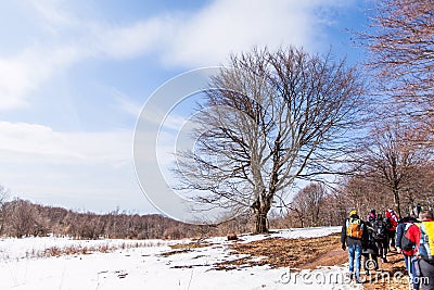 Hikers walking on beautiful winter day. Nature landscape Editorial Stock Photo