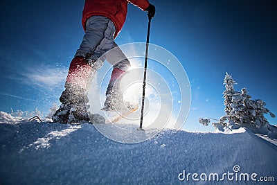 Hiking Stock Photo