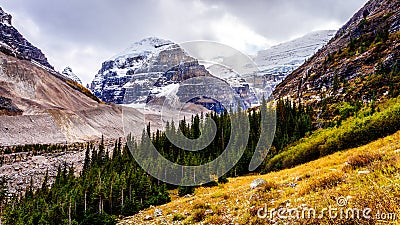 Hiking above the tree line to the Plain of Six Glaciers at Lake Louise Stock Photo