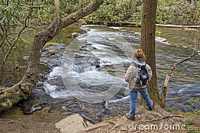 Hiking Along Abrams Creek In Cades Cove Stock Photo