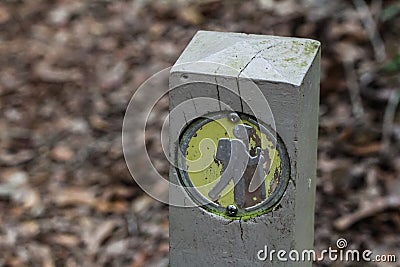 Hiking the Beautiful Trails of Florida State Parks Stock Photo