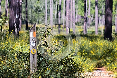 Hiking the Beautiful Trails of Florida State Parks Stock Photo