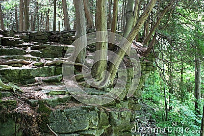 Hiking the Bruce Trail View Stock Photo
