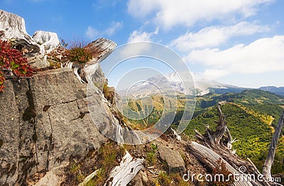 Hiking Castle Peak in Gifford Pinchot National Forest Stock Photo