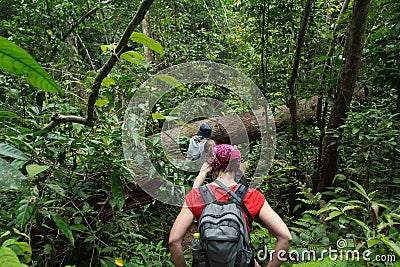 Hiking in deep jungle Stock Photo