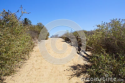 Lonely hiking dirt road surrounded by vegetation and a wooden fence post Stock Photo