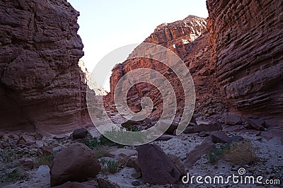 Hiking in evening in Nahal Amir, south Israel Stock Photo