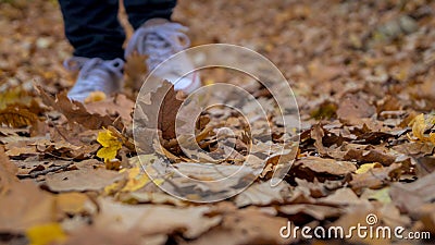 Hiking through the fallen leaves Stock Photo