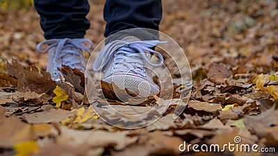 Hiking through the fallen leaves Stock Photo