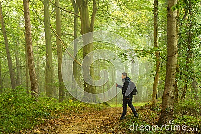 Hiking in forest Stock Photo