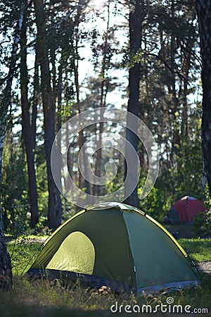 Hiking in the forest in summer, healthy camping Stock Photo