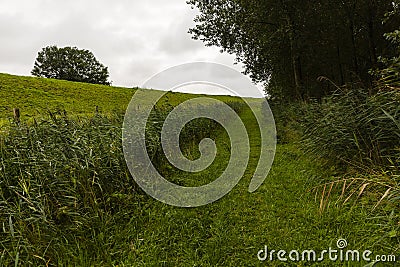 Hiking the GR5 trail in the Benelux Stock Photo