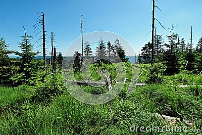 Hiking impressions from the Black Forest, Germany Stock Photo