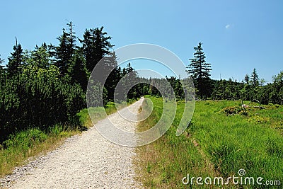 Hiking impressions from the Black Forest, Germany Stock Photo