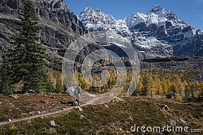 Hiking Lake O'Hara in autumn, Yoho National Park, Canadian Rockies Stock Photo