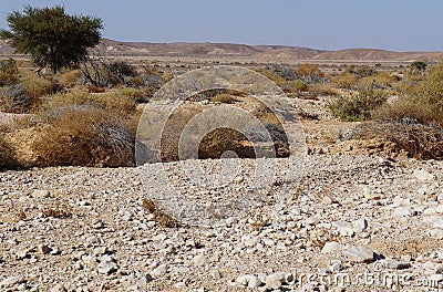 Hiking in Nahal Sharbit, South Israel Stock Photo