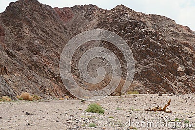 Hiking in Nahal Tzfahot near Eilat, Israel Stock Photo