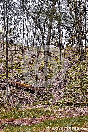 Hiking The Northeast Iowa Woods in Late October Stock Photo