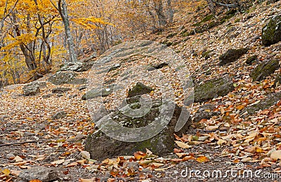 Hiking path covered with autumnal foliage Stock Photo