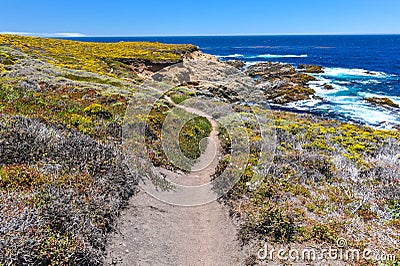 Hiking path in Garrapata State Park by Pacific Stock Photo