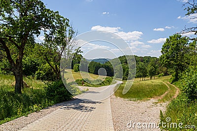 Hiking path, hill panorama, meadows, forest with trees near Wichsenstein in Franconian Switzerland, Germany Stock Photo