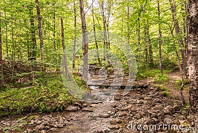 Hiking Pathway `Les Ruisseaux` in Mont-Tremblant Stock Photo