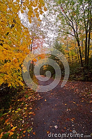 Hiking road Stock Photo