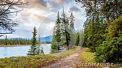 Hiking trail along the Athabasca River Stock Photo