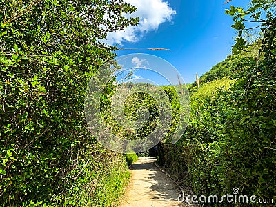 Hiking trail along the hill at Lower Galilee at spring time Stock Photo