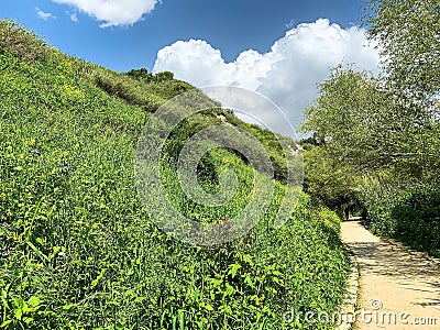 Hiking trail along the hill at Lower Galilee Stock Photo