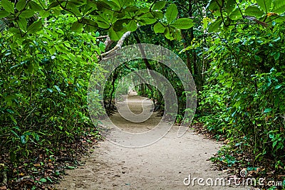 Hiking trail in Cahuita National Park, Costa Ri Stock Photo