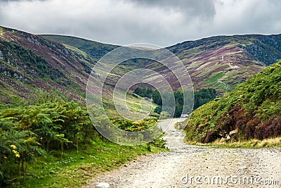 Hiking trail in Cairngorms National Park. Angus, Scotland, UK. Stock Photo