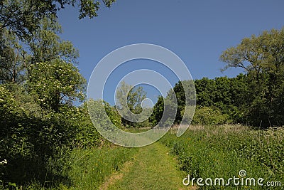 Durmmeersen nature reserve in spring. Ghent, Flanders, Belgium Stock Photo