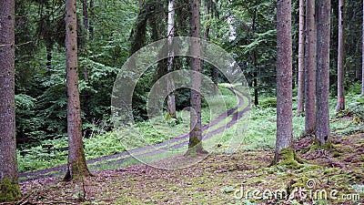 On the Hiking Trail Eifelsteig in the Eifel, Germany Stock Photo