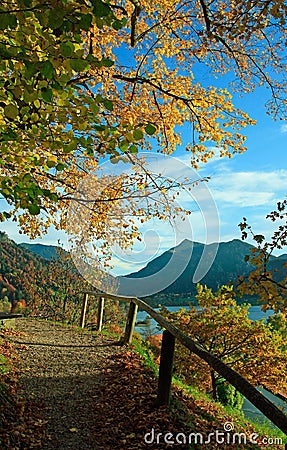 hiking trail in golden autumnal landscape, lake schliersee, bavaria Stock Photo