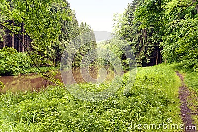 On the Hiking Trail Goldsteig, Germany Stock Photo