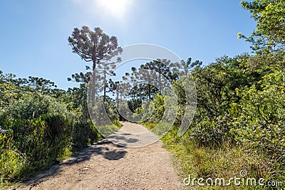 Hiking Trail of Itaimbezinho Canyon at Aparados da Serra National Park - Cambara do Sul, Rio Grande do Sul, Brazil Stock Photo