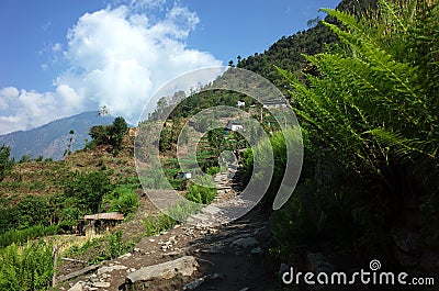 Hiking trail from Karikhola to Bupsa in green mountains - lower part of Everest trek Stock Photo