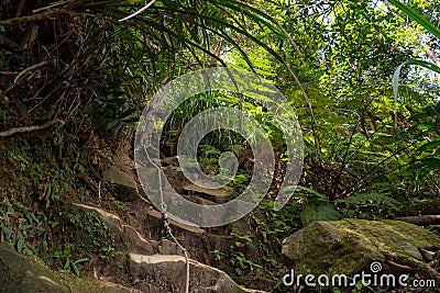 Hiking trail in a mountain forest, rainforest trees with climbing rope and stone strairs between rocks. Gunung Panti, Malaysia Stock Photo