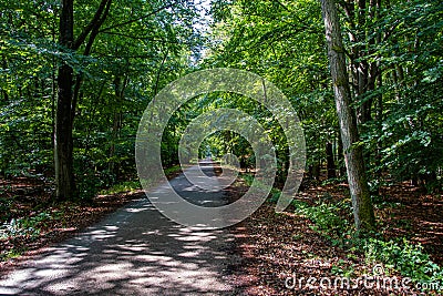 Hiking trail through the national park `Vorpommersche Boddenlandschaft` Stock Photo