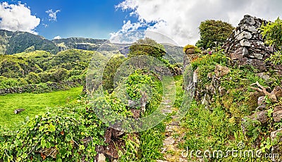 Hiking trail near Faja Grande Flores, Azores islands Stock Photo